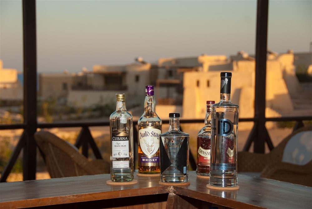 the oasis dive resort