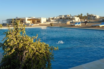 the oasis dive resort