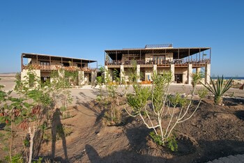 the oasis dive resort