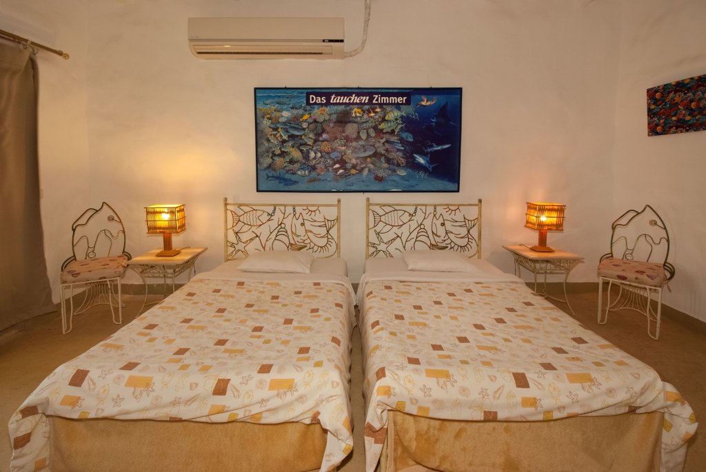 the oasis dive resort