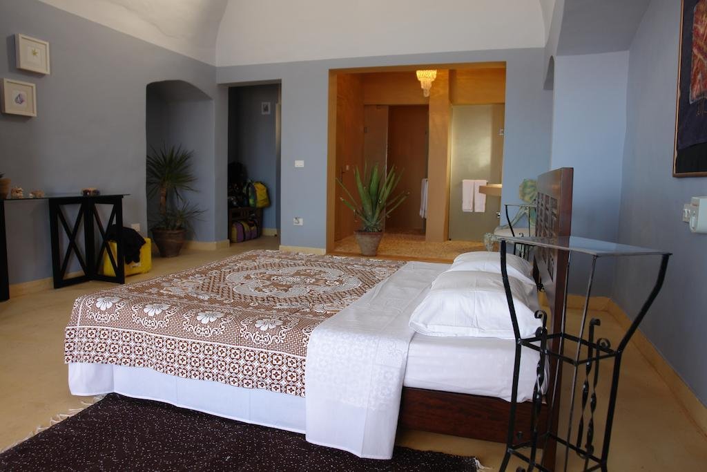 the oasis dive resort