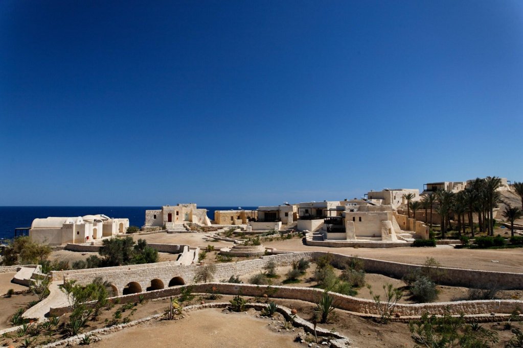 the oasis dive resort