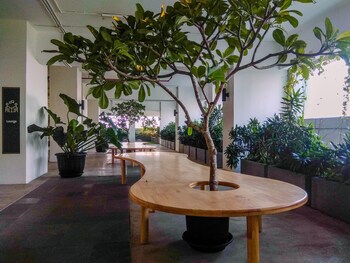 cozy 1br apartment grand kamala lagoon