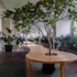 cozy 1br apartment grand kamala lagoon
