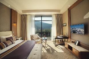 borjomi likani to borjomi likani health and spa centre