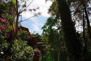 club and hotel letoonia