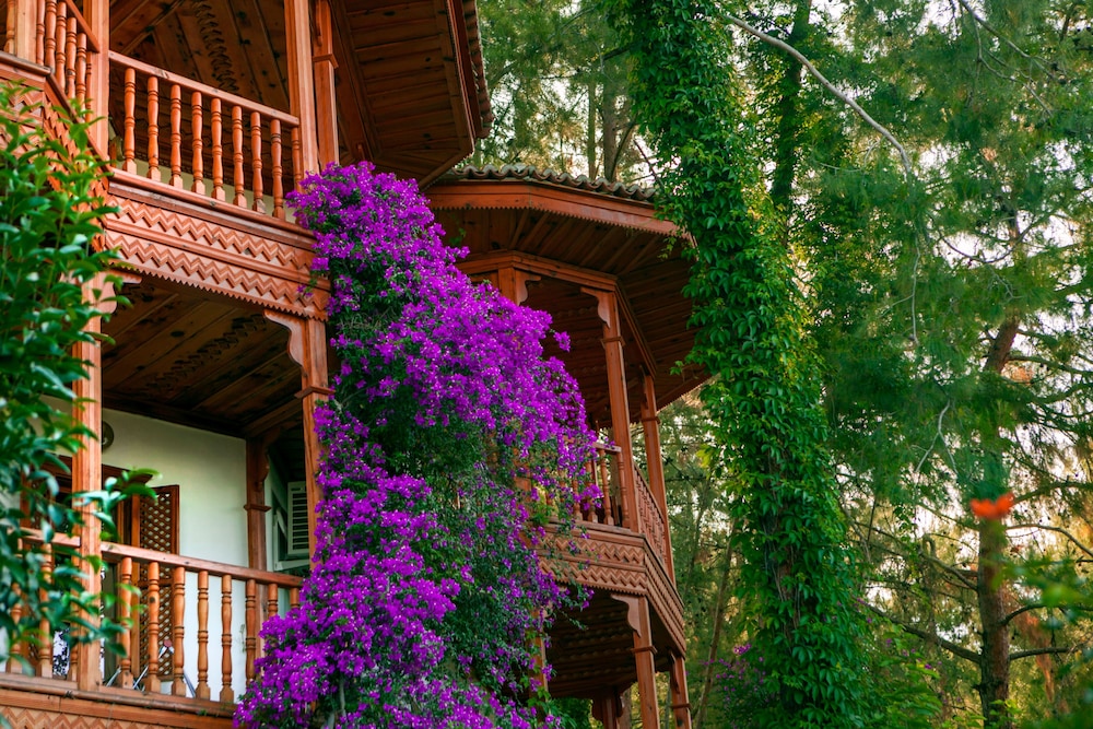 club and hotel letoonia