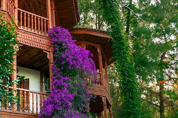 club and hotel letoonia