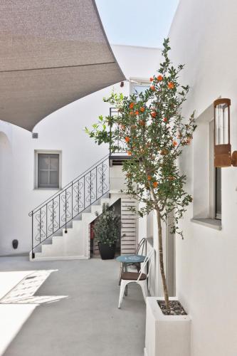 lindos comfy suites