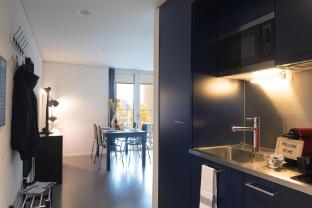 lu bourbaki i allmend hitrental apartment