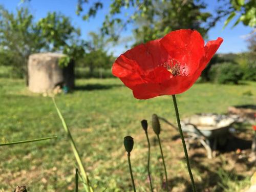 la bastide