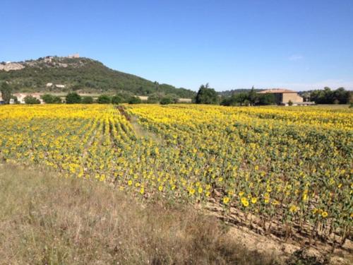 la bastide
