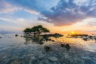 tropica gili hotel