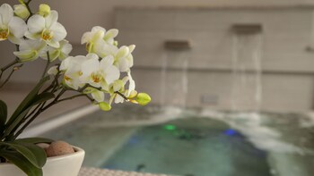 villa delta suite house