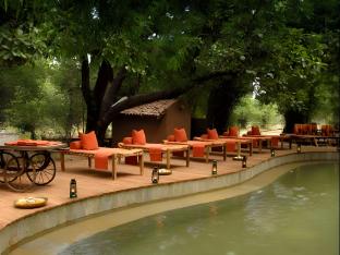 mahua kothi bandhavgarh national park