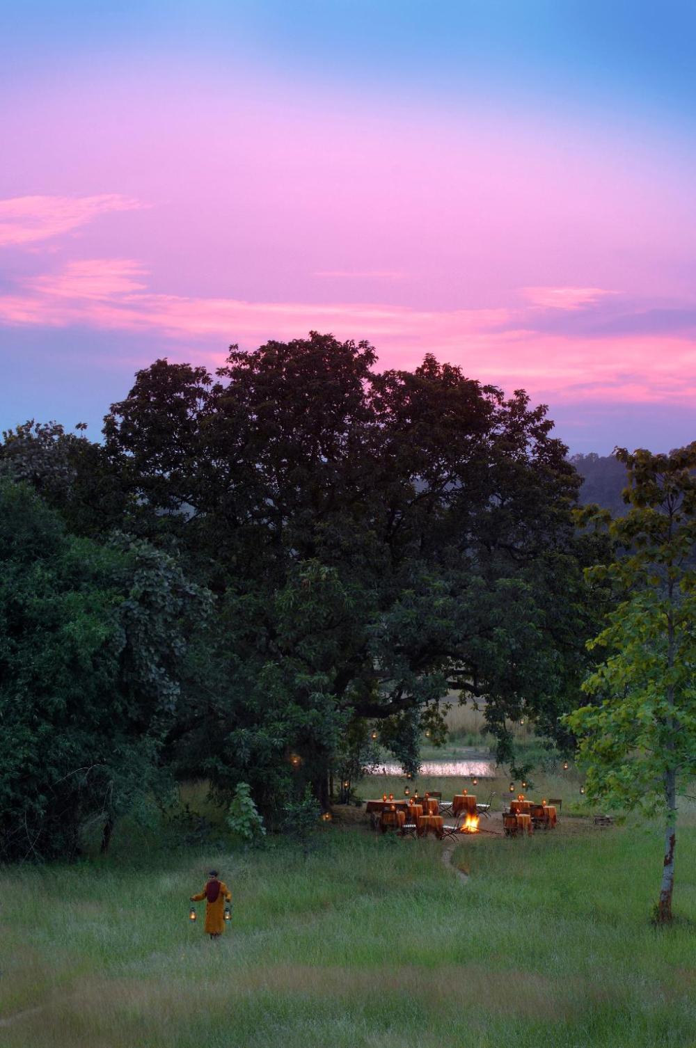mahua kothi bandhavgarh national park