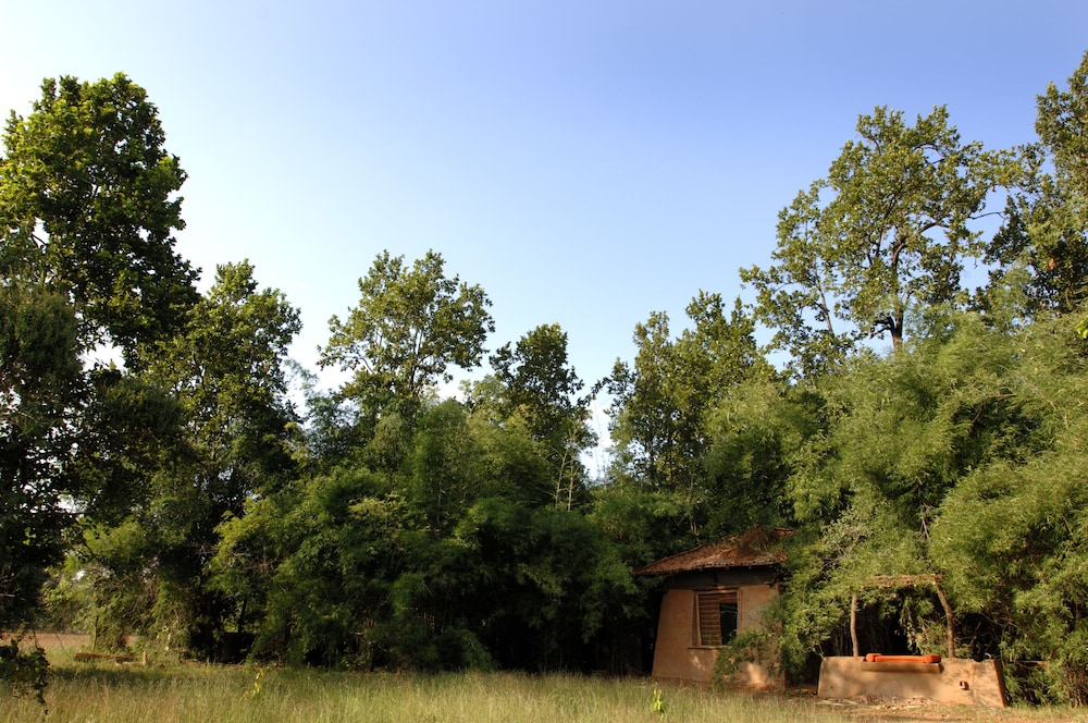 mahua kothi bandhavgarh national park