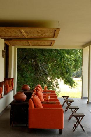 mahua kothi bandhavgarh national park