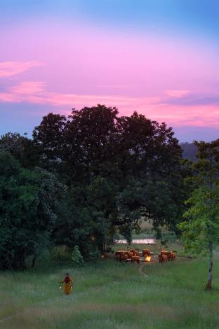 mahua kothi bandhavgarh national park