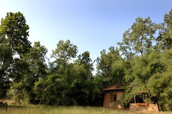mahua kothi bandhavgarh national park