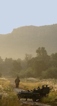 mahua kothi bandhavgarh national park