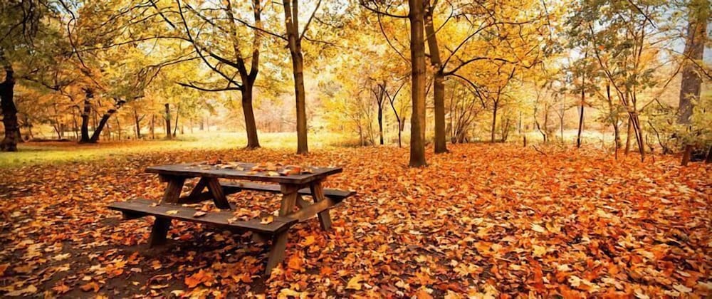 gourmet and relax hotel de la sure