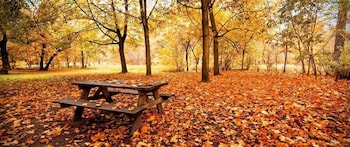 gourmet and relax hotel de la sure