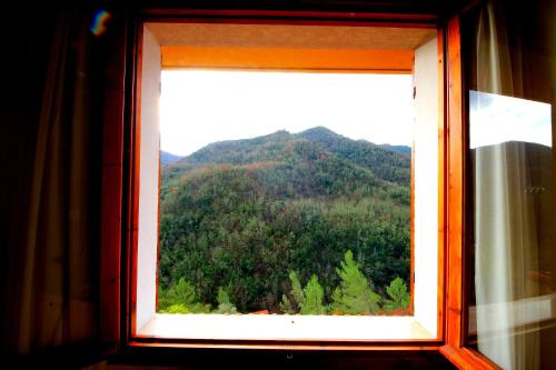 la favorita apricale bandb