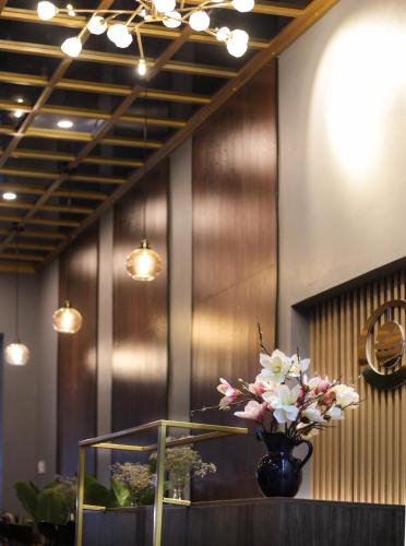 tam coc cocoon homestay