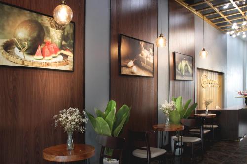 tam coc cocoon homestay