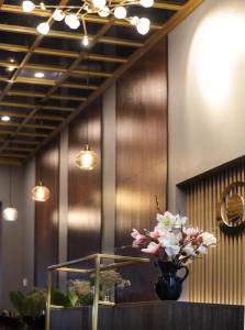 tam coc cocoon homestay