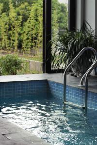 tam coc cocoon homestay