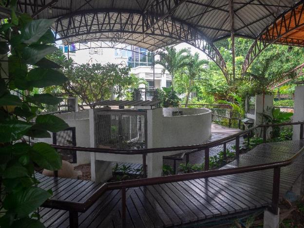 hotel verve bangkok ex grand tower inn sukumvit 55