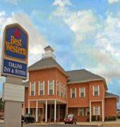 collins inn and suites