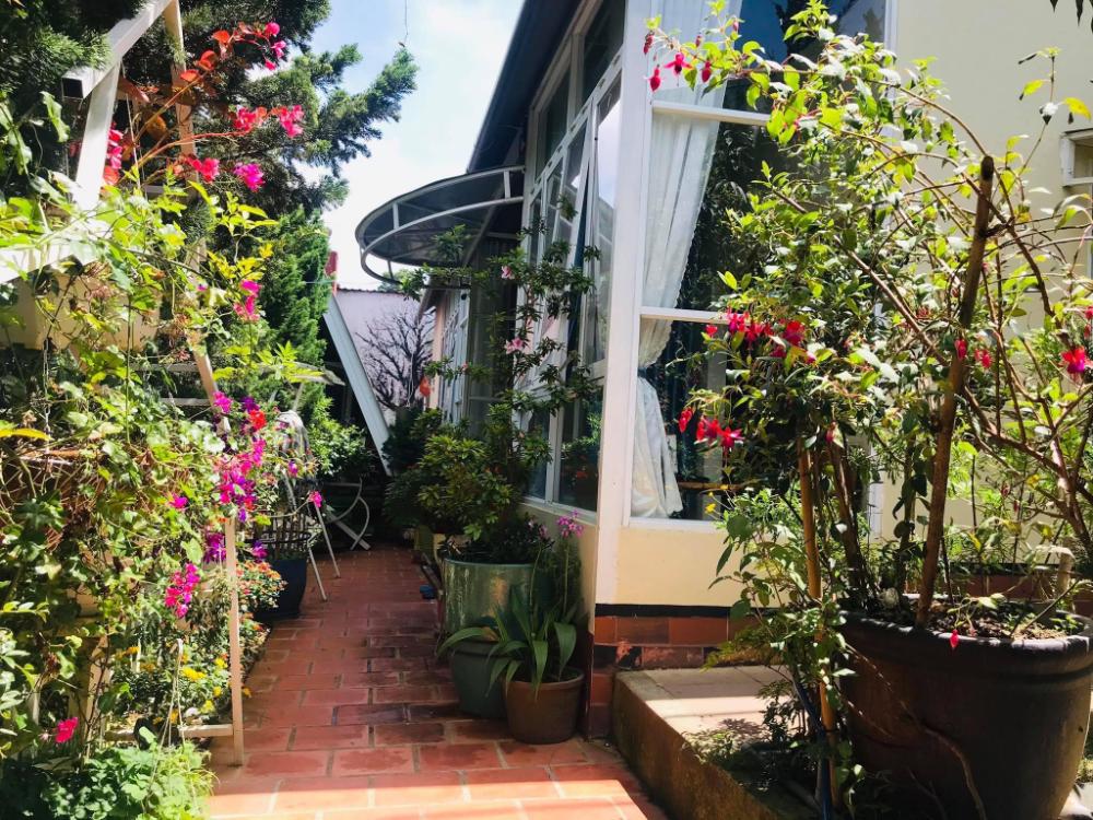 homestay vuontung pine garden