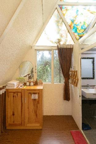 homestay vuontung pine garden