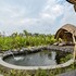 umadesa ubud