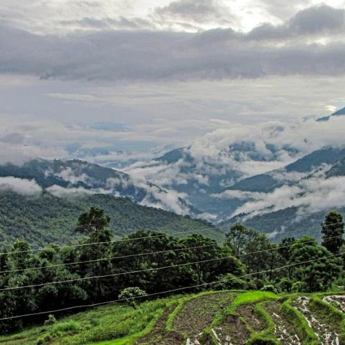 Manjushree Homestay,Kalimpong>>Darjeeling,0 star