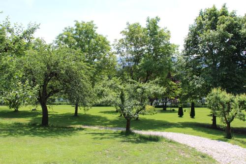 glamping pec all inclusive light