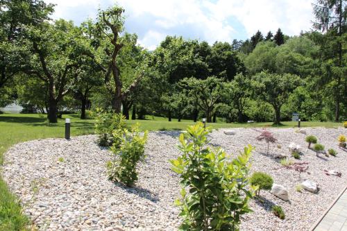 glamping pec all inclusive light