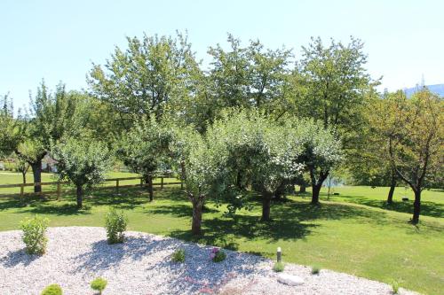 glamping pec all inclusive light