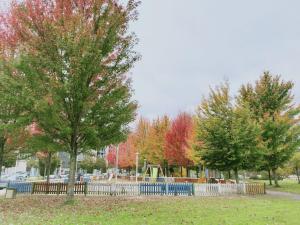 santiago de compostela