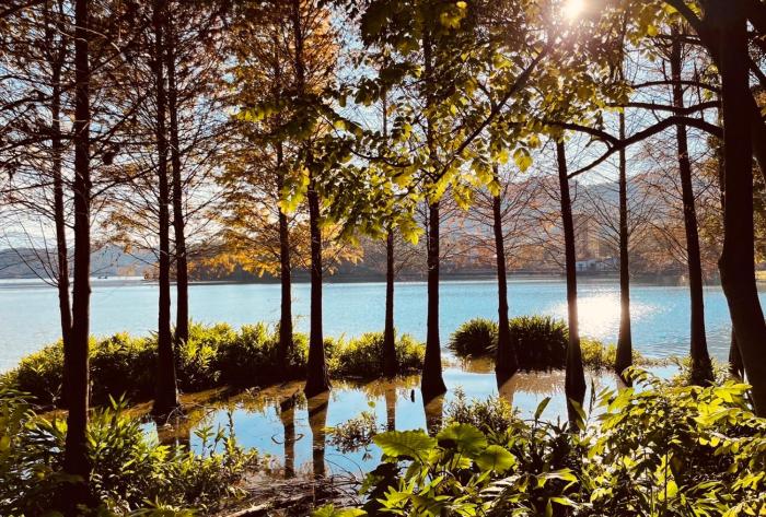 lake bandb