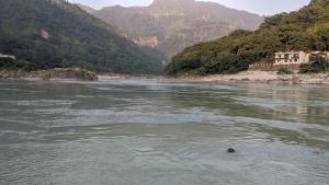 rishikesh