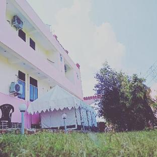 the forest view resort