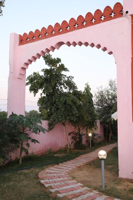 the forest view resort