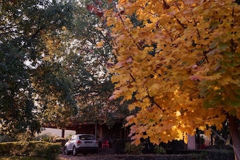 piedimonte etneo