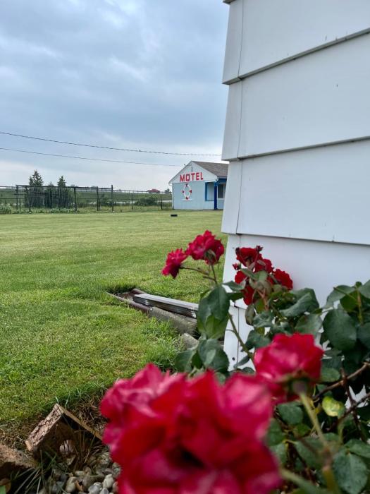 best motel bowling green