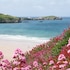 newquay