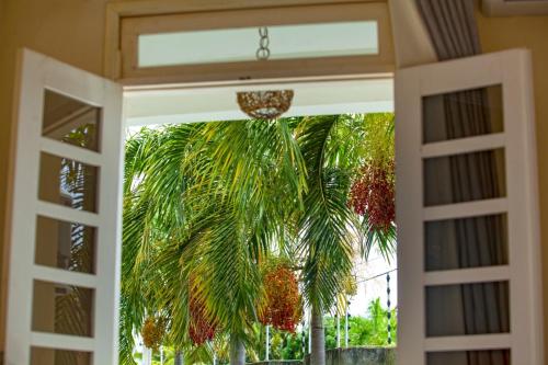 pousada aruana praia